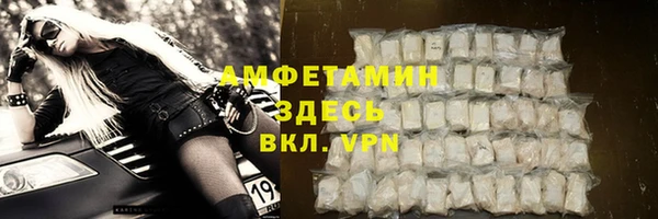 винт Абаза