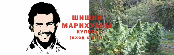 сатива Абдулино