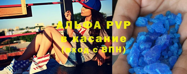 винт Абаза